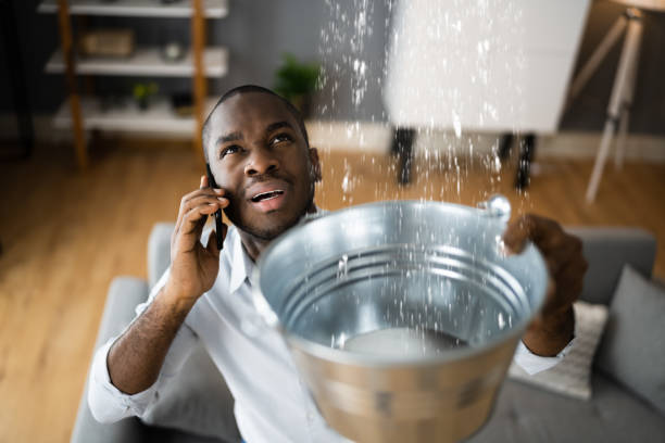 Best Local water damage restoration  in River Heights, UT