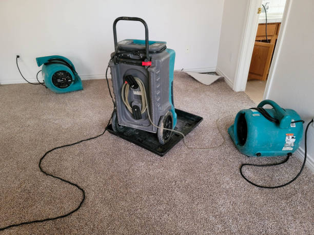 Best Ceiling water damage repair  in River Heights, UT