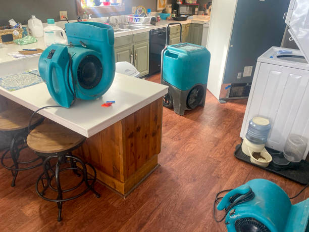 Best Water damage restoration process  in River Heights, UT