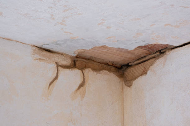 Best Flood restoration services  in River Heights, UT