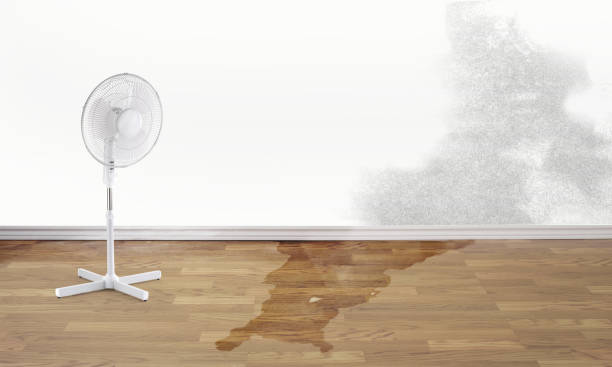 Sewage cleanup and water damage restoration in River Heights, UT