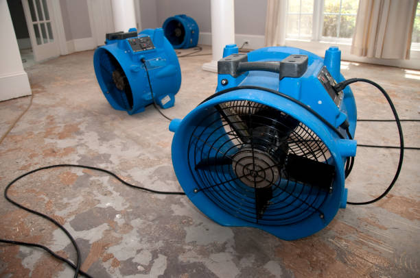 Best Emergency water extraction  in River Heights, UT