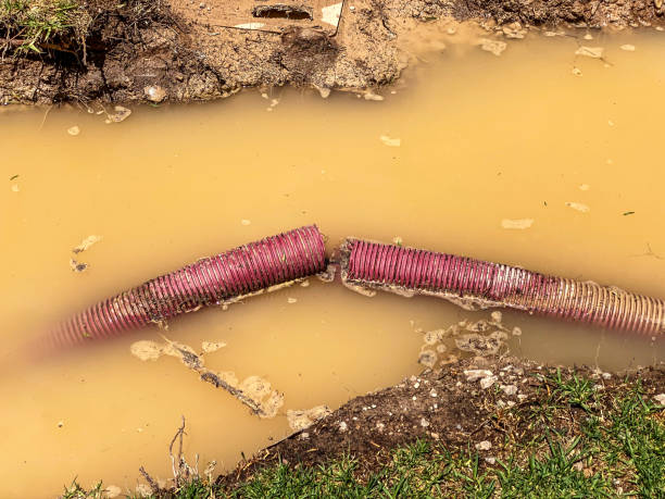 Best Water damage cleanup near me  in River Heights, UT